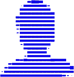 Pro plan icon